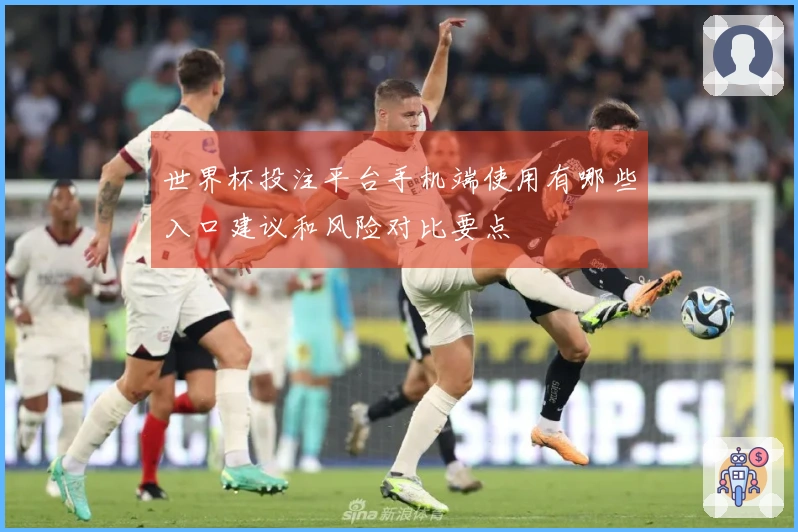 世界杯投注平台手机端使用有哪些入口建议和风险对比要点
