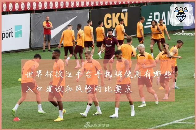 世界杯投注平台手机端使用有哪些入口建议和风险对比要点