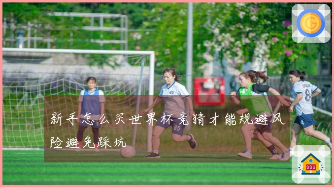 新手怎么买世界杯竞猜才能规避风险避免踩坑