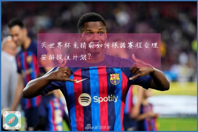 买世界杯竞猜前如何根据赛程合理安排投注计划?